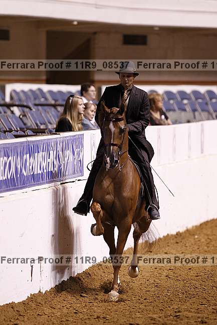 Proof Number 11r9_08537