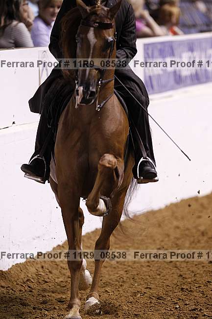 Proof Number 11r9_08538