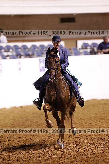 Proof Number 11r9_08800