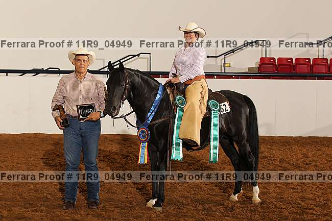 Proof Number 11r9_04949