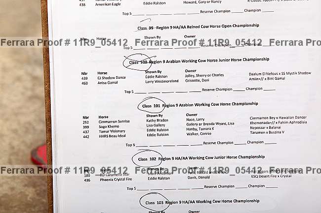 Proof Number 11r9_05412