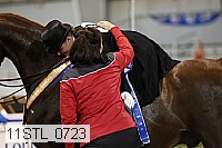 11stl_0723 thumbnail