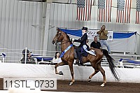 11stl_0733 thumbnail