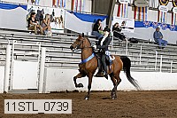 11stl_0739 thumbnail