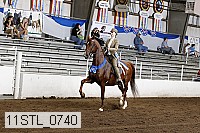 11stl_0740 thumbnail