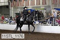 11stl_1176 thumbnail