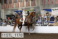 11stl_1178 thumbnail