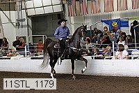 11stl_1179 thumbnail
