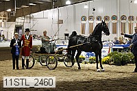 11stl_2460 thumbnail
