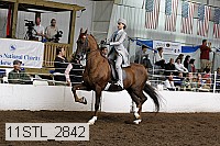 11stl_2842 thumbnail