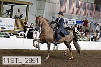 11stl_2851 thumbnail