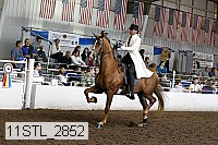 11stl_2852 thumbnail