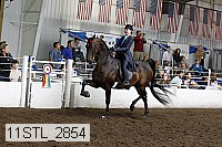 11stl_2854 thumbnail