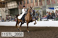 11stl_2858 thumbnail
