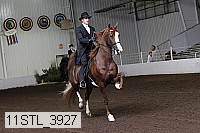 11stl_3927 thumbnail