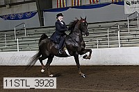 11stl_3928 thumbnail