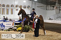 11stl_3934 thumbnail