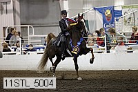11stl_5004 thumbnail