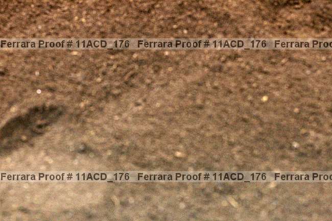 Proof Number 11acd_176