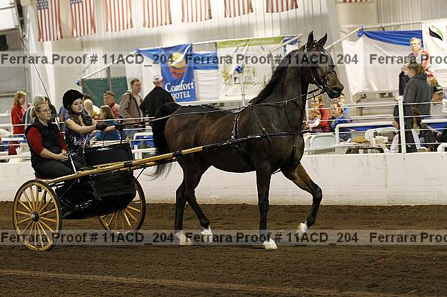 Proof Number 11acd_204