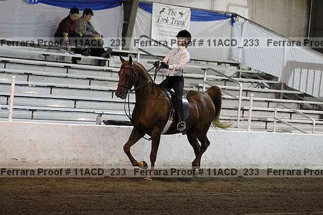 Proof Number 11acd_233