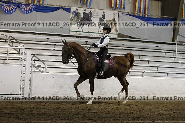 Proof Number 11acd_261