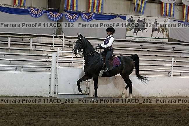Proof Number 11acd_282