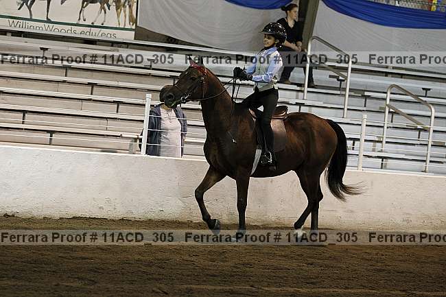 Proof Number 11acd_305