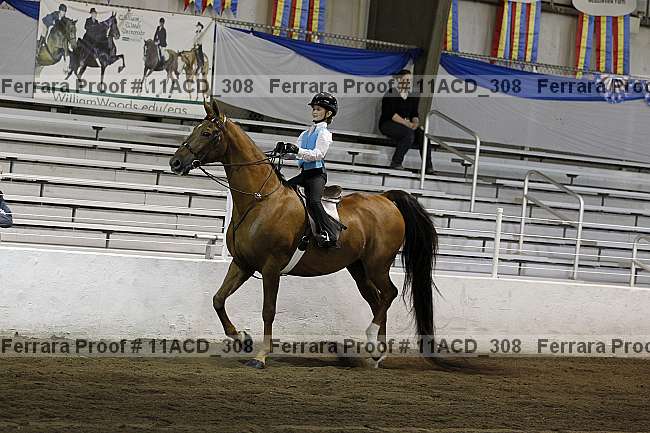 Proof Number 11acd_308
