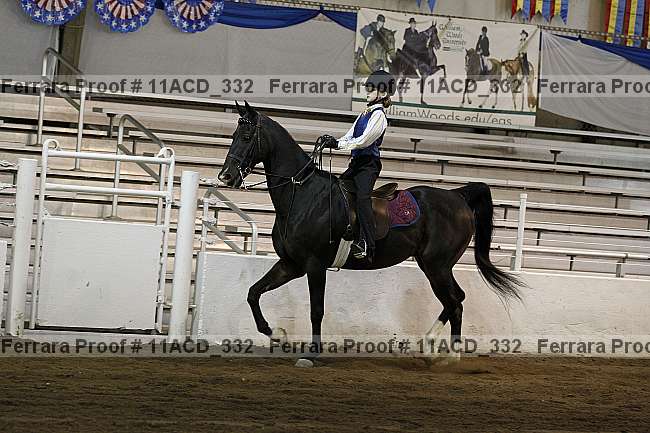 Proof Number 11acd_332
