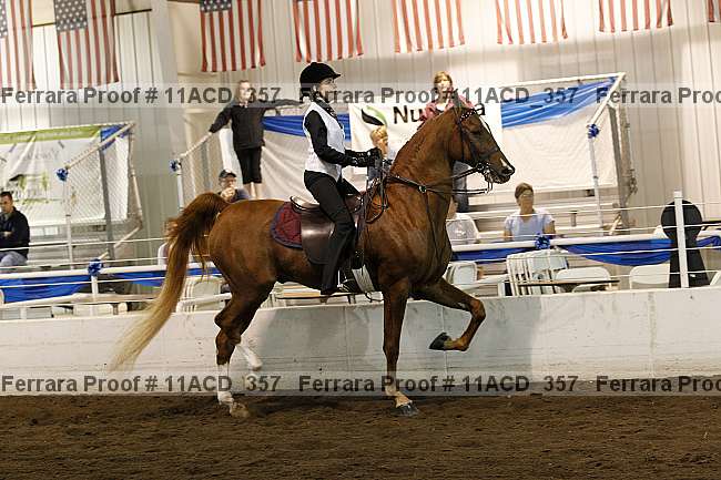 Proof Number 11acd_357
