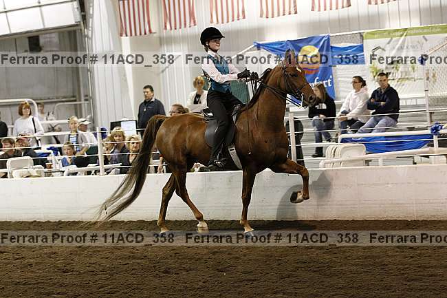 Proof Number 11acd_358