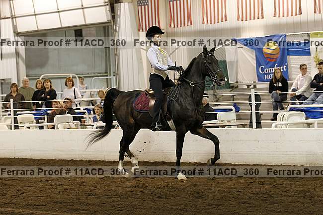 Proof Number 11acd_360