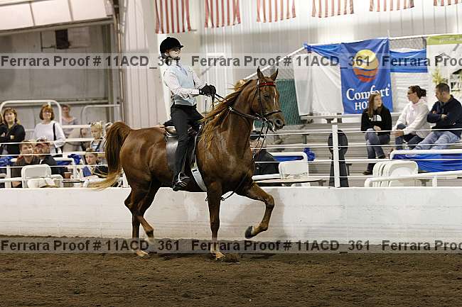 Proof Number 11acd_361