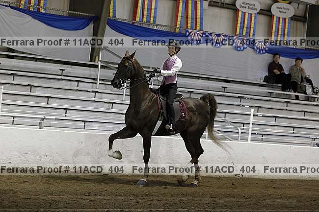 Proof Number 11acd_404