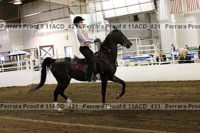 Proof Number 11acd_421