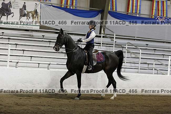Proof Number 11acd_466