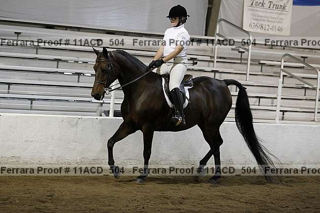Proof Number 11acd_504