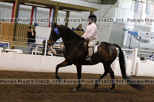 Proof Number 11acd_511