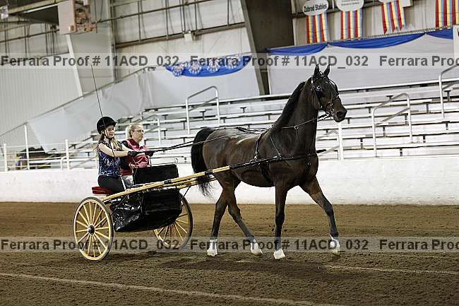 Proof Number 11acd_032