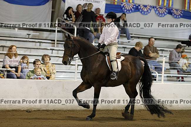 Proof Number 11acd_037