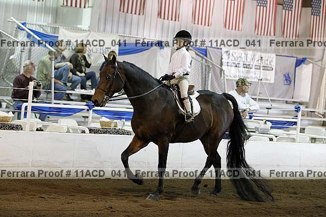 Proof Number 11acd_041