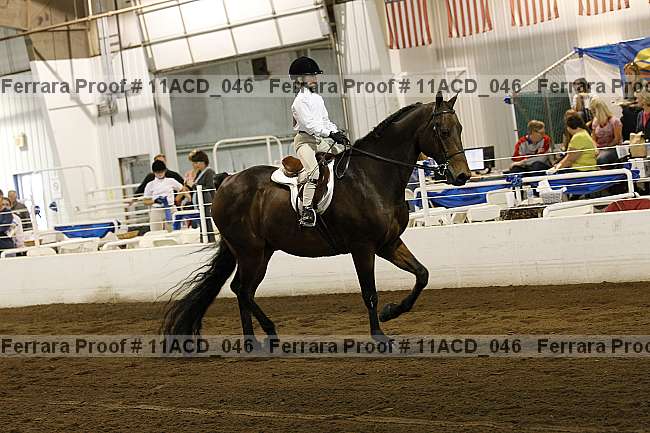 Proof Number 11acd_046