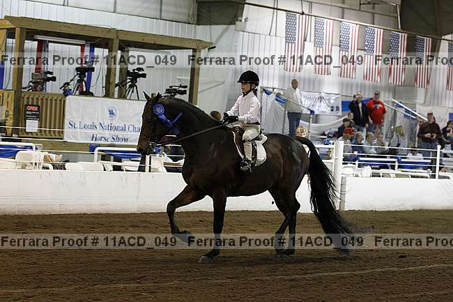 Proof Number 11acd_049