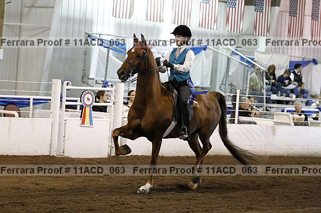 Proof Number 11acd_063