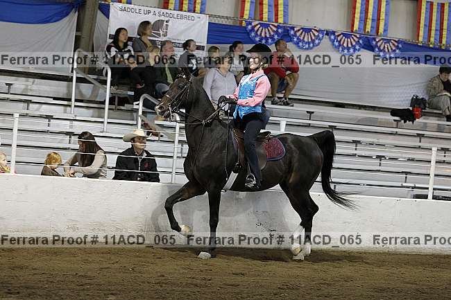 Proof Number 11acd_065