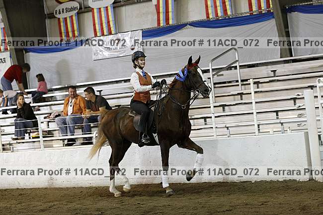 Proof Number 11acd_072