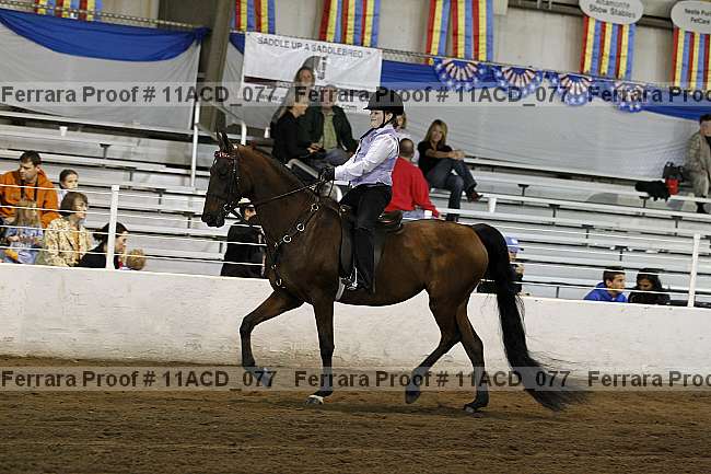 Proof Number 11acd_077