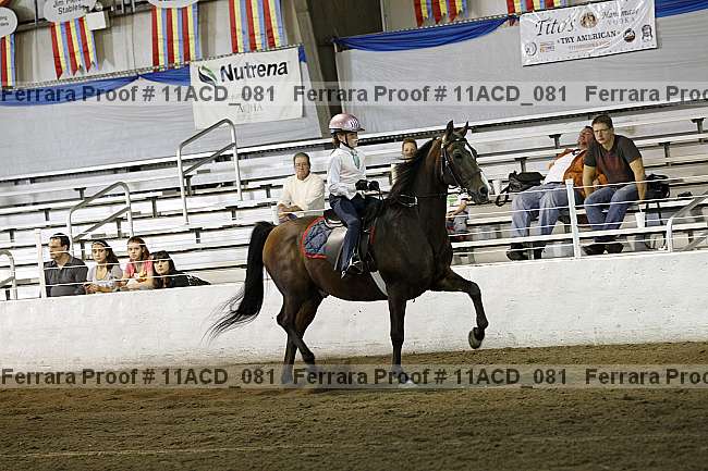 Proof Number 11acd_081