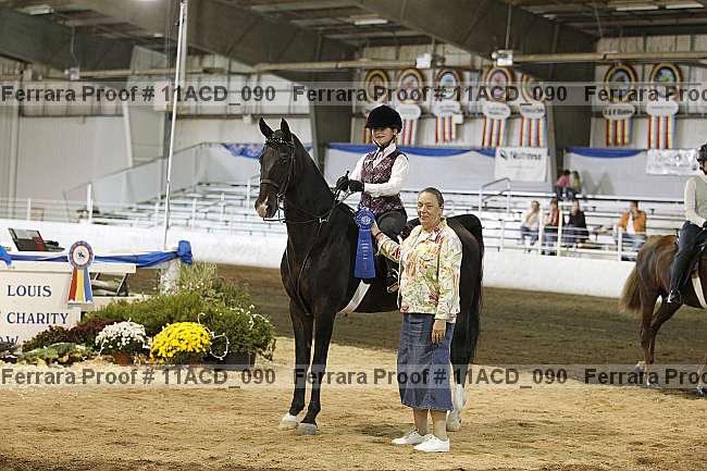 Proof Number 11acd_090